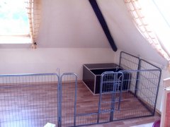 moevennest-06.jpg