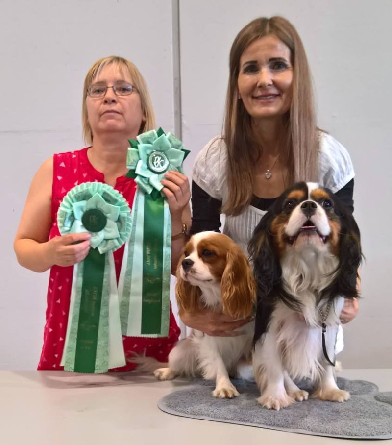 Erfolgreiche Eifelkids Cavaliere Erfolgreiche Eifelkids Cavaliere